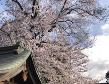 国分寺市戸倉町「戸倉神社」様