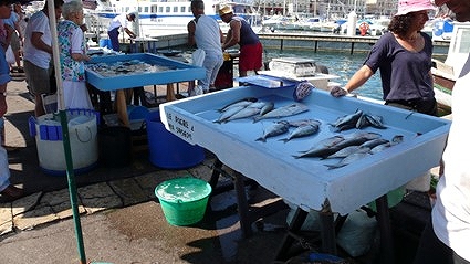 マルセイユの港での魚売り