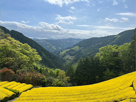 山の上の絶景